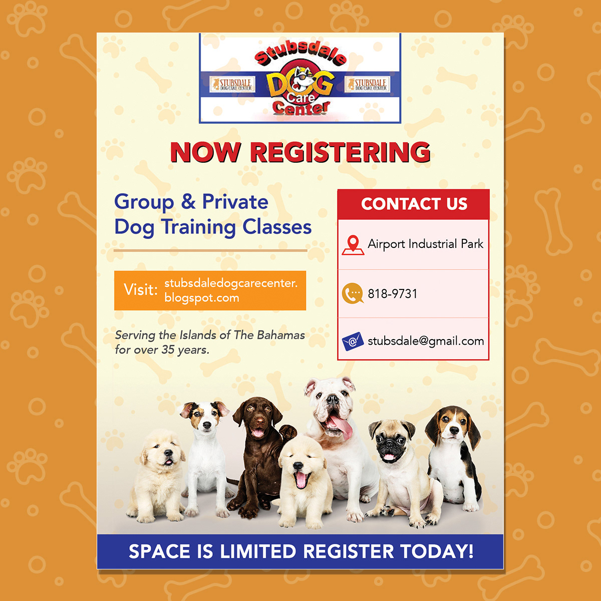 Event & Promotional Flyers — image 7